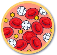 Normal blood cell